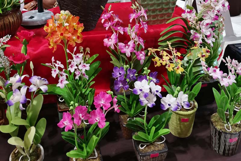 วิถีไทย 4