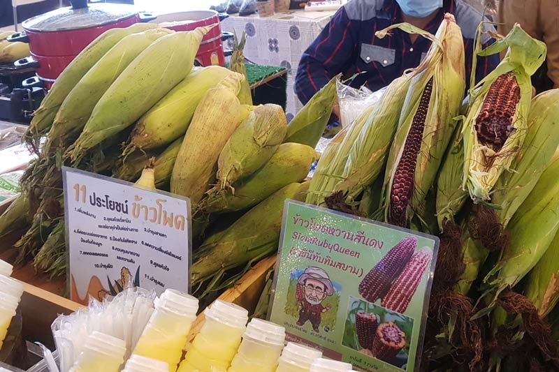 กินเจ 10207